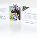 Flyer Osteopathische Pferdetherapie